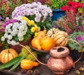 Autumn Garden Tableau