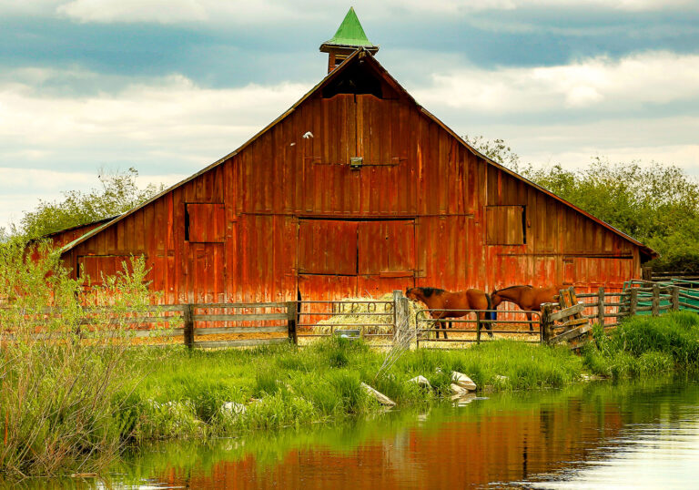 Barn and Creek Jigsaw Puzzle