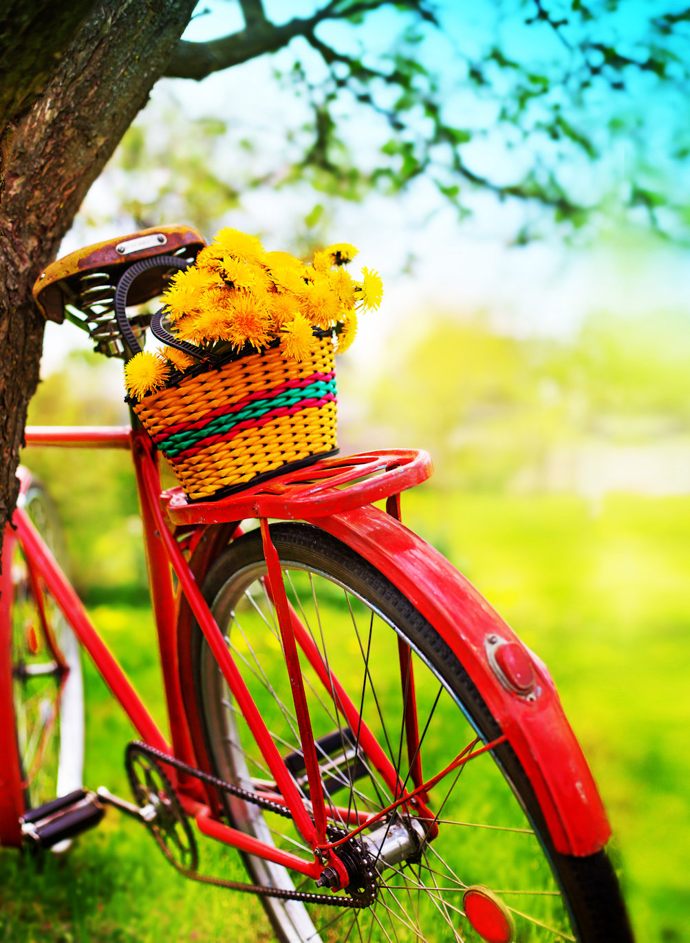 Bike And Flowers Jigsaw Puzzle