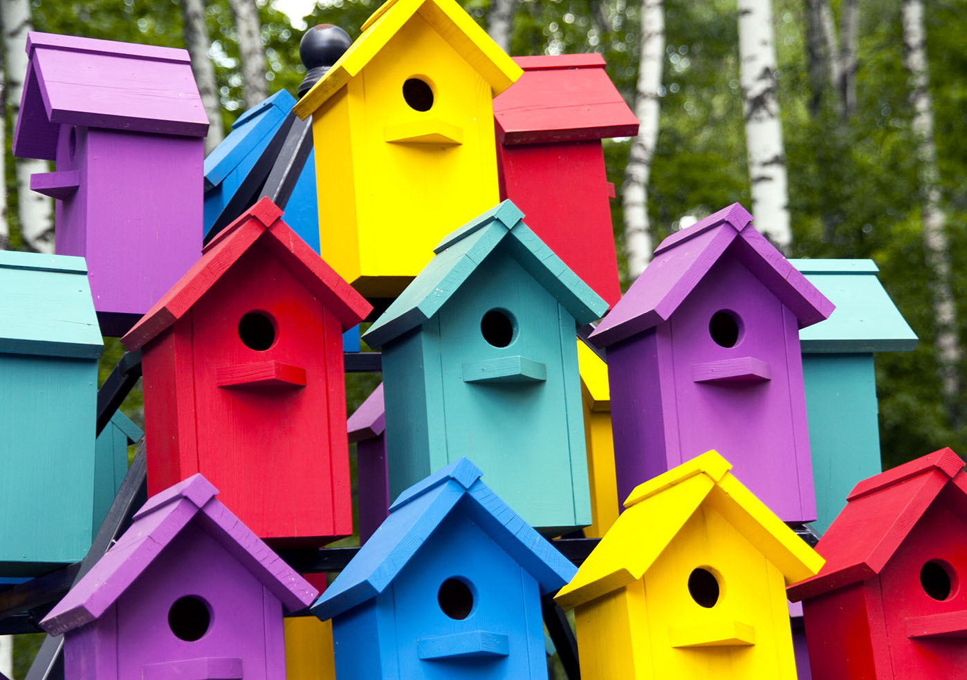 birdhouse-colors-jigsaw-puzzle