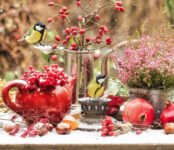 Birds and Berries