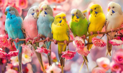 Birds of a Feather Jigsaw Puzzle