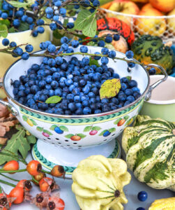 Bowl of Sloe Jigsaw Puzzle