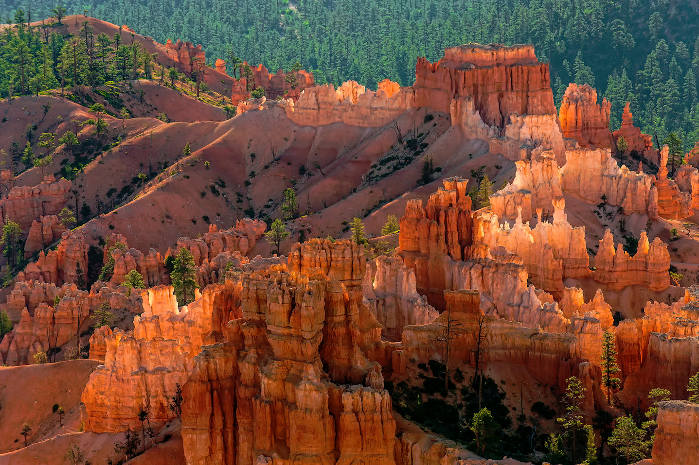 Bryce Canyon Sunrise Jigsaw Puzzle