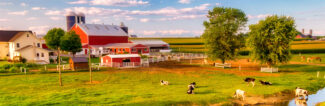 Bucolic Farm