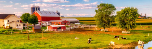 Bucolic Farm Jigsaw Puzzle