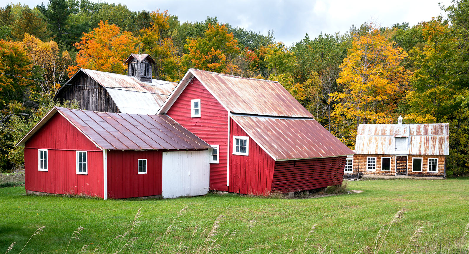 Bufka Farm Jigsaw Puzzle