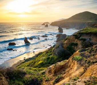 California Waves Jigsaw Puzzle