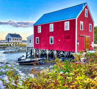 Cape Porpoise Jigsaw Puzzle