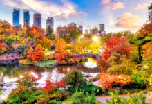 Central Park Autumn