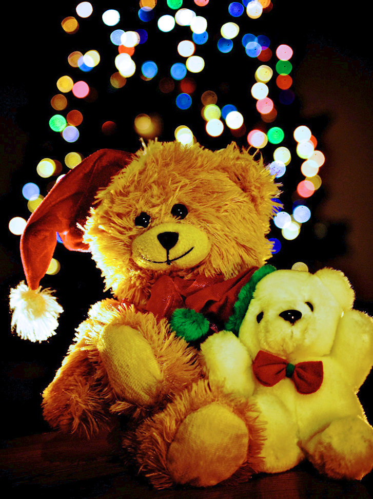 the christmas bears