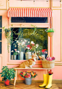 Corgi at the Florist Jigsaw Puzzle