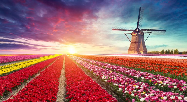 Dutch Sunrise Jigsaw Puzzle