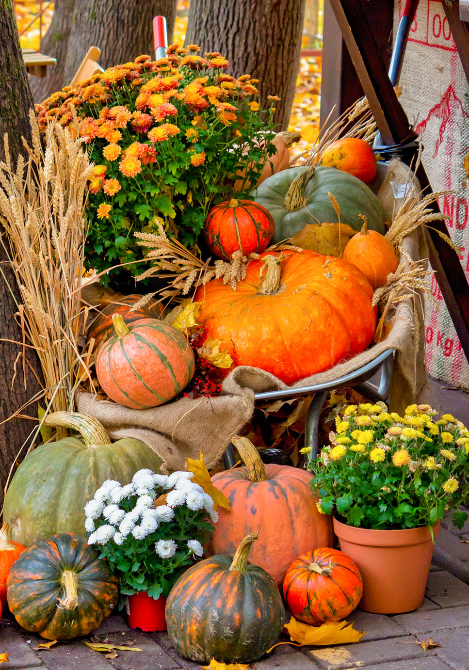 Fall Composition Jigsaw Puzzle