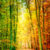 Fall Gradient Jigsaw Puzzle