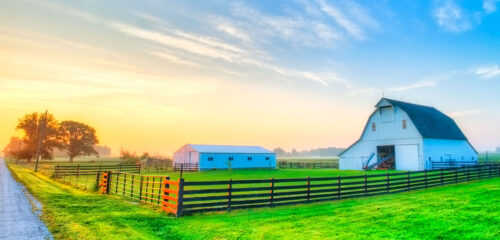 Farm Sunrise Jigsaw Puzzle