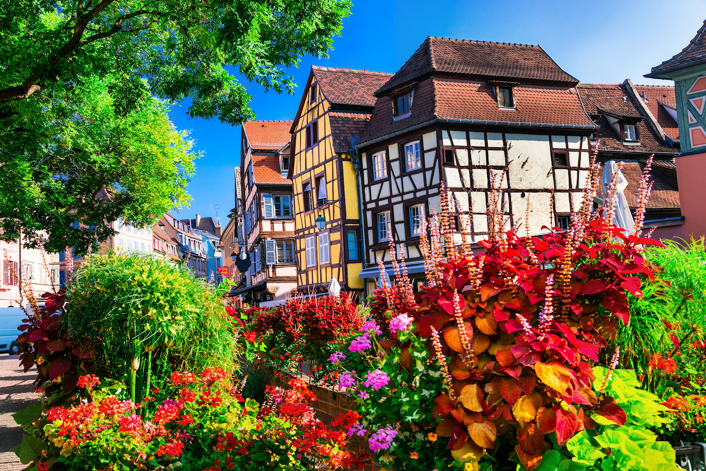 Flowers in Colmar Jigsaw Puzzle