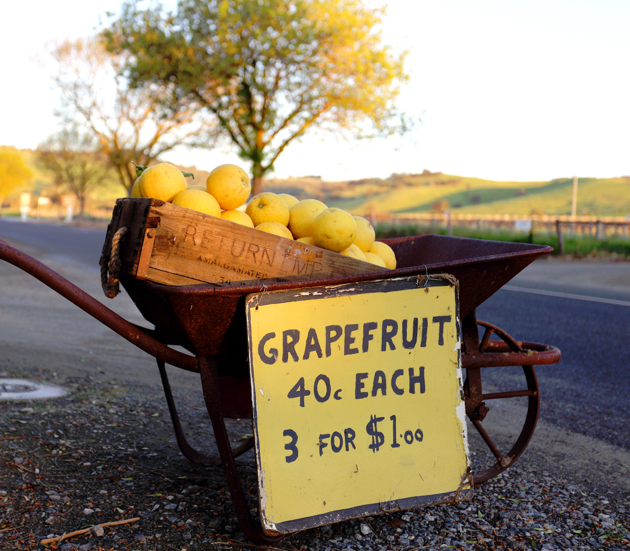 grapefruit for sale near me