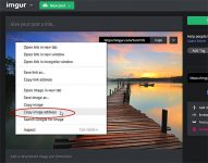 How to Get an Imgur Photo URL