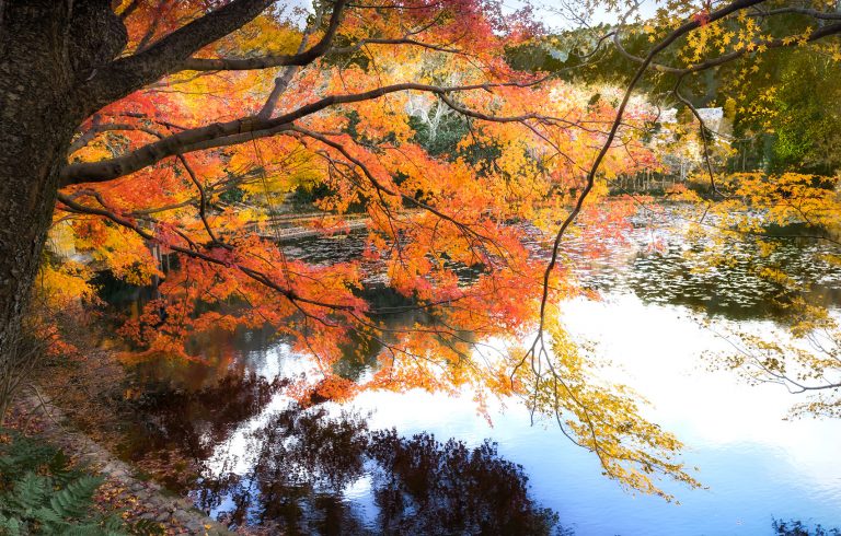 Kyouyochi Pond