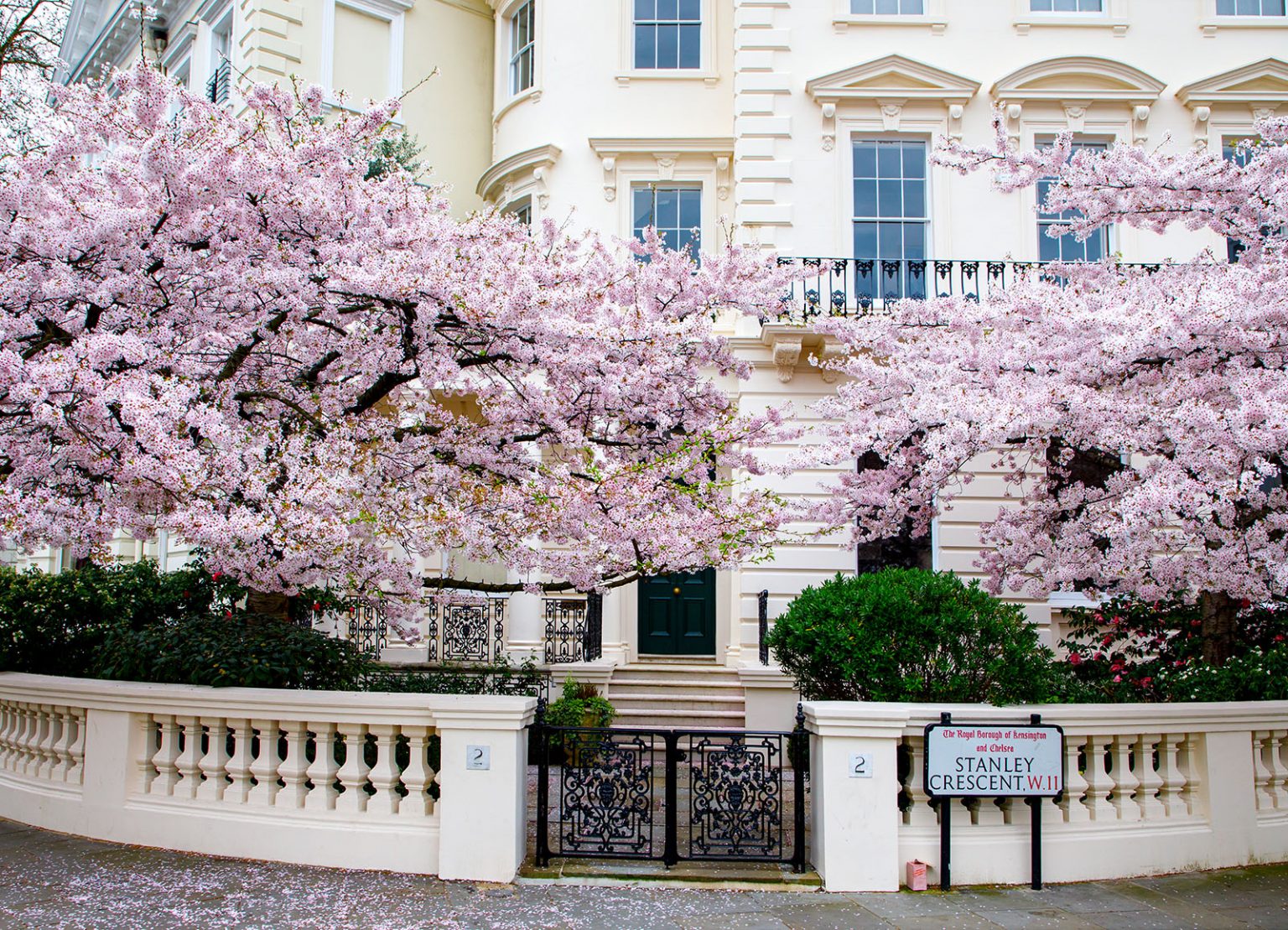 London Cherry Trees Jigsaw Puzzle