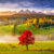 Lone Red Tree Jigsaw Puzzle