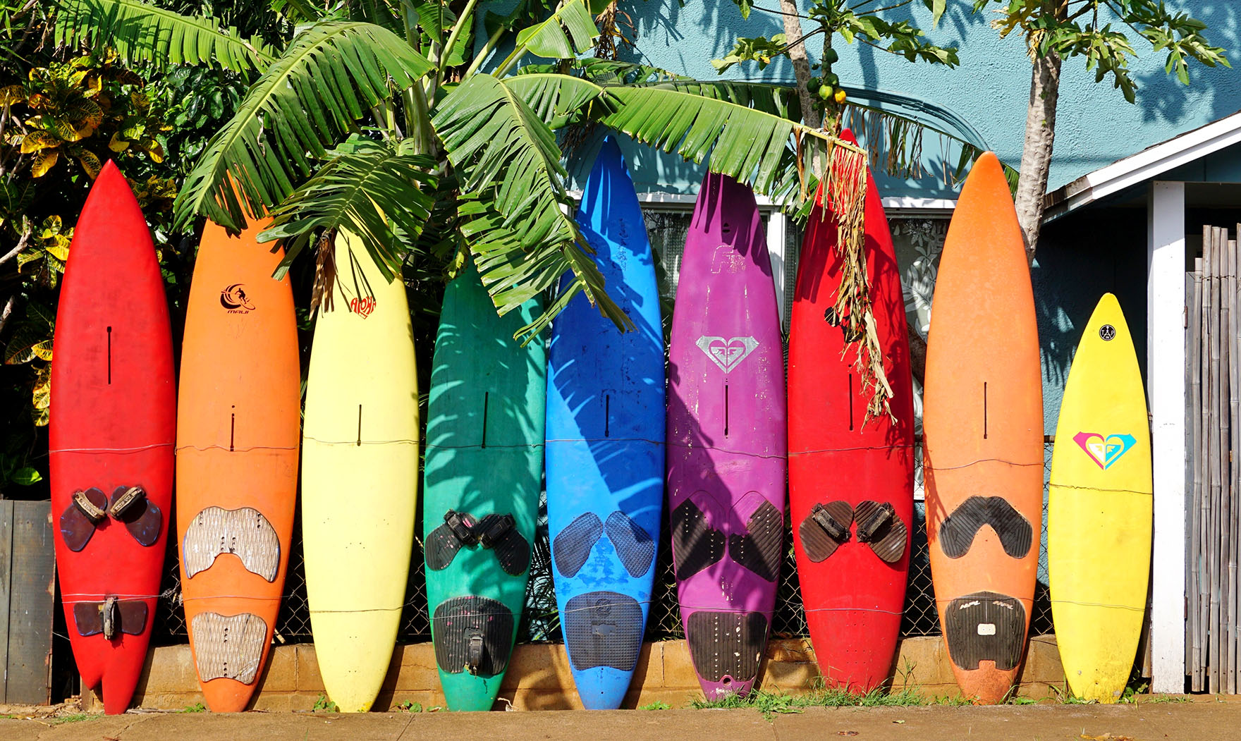 Maui Surfboards Jigsaw Puzzle   Maui Surfboards 