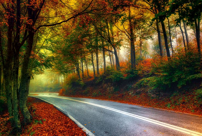 Misty Autumn Road Jigsaw Puzzle