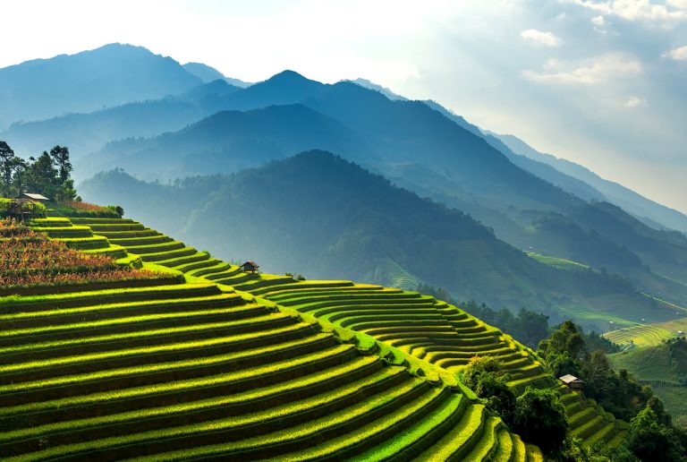 Mu Cang Chai Jigsaw Puzzle