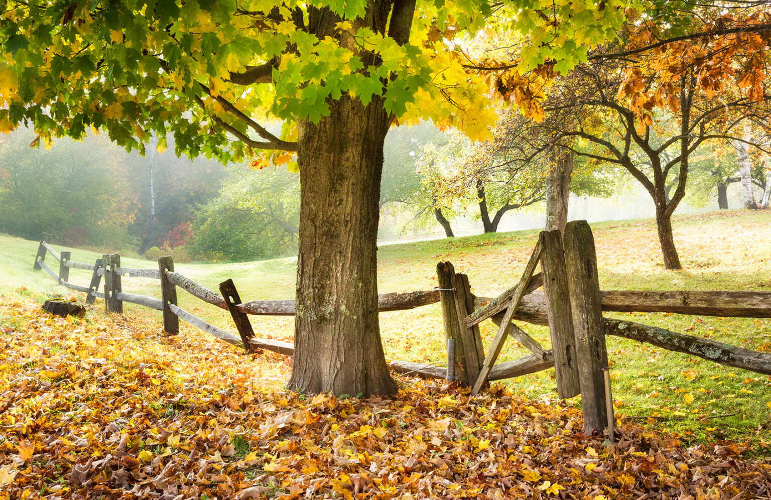 new-england-meadow-jigsaw-puzzle