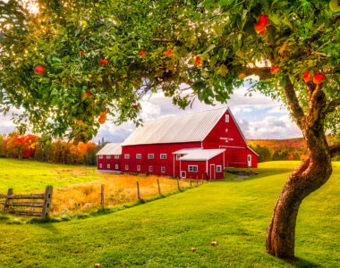 New Hampshire Barn Jigsaw Puzzle