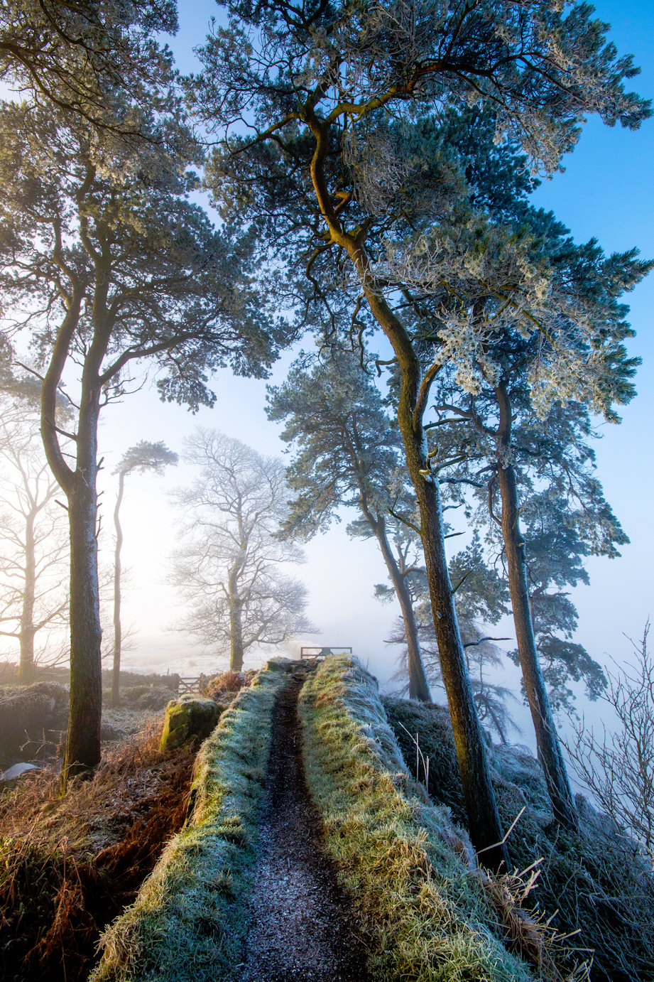 northumberland mountain bike trails