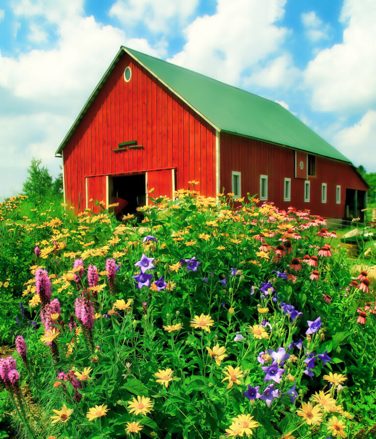 Barns