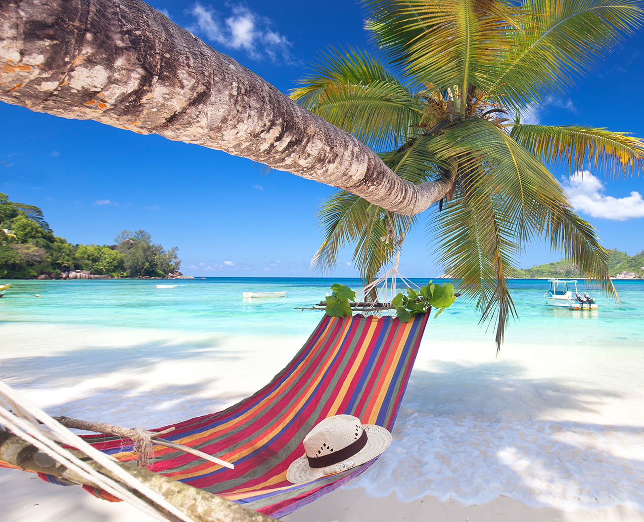 Palm Tree Hammock Jigsaw Puzzle