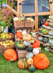 Pumpkin Display