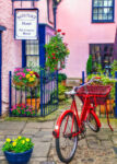 Red Bicycle and Blooms