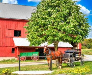 Rustic Journey Jigsaw Puzzle