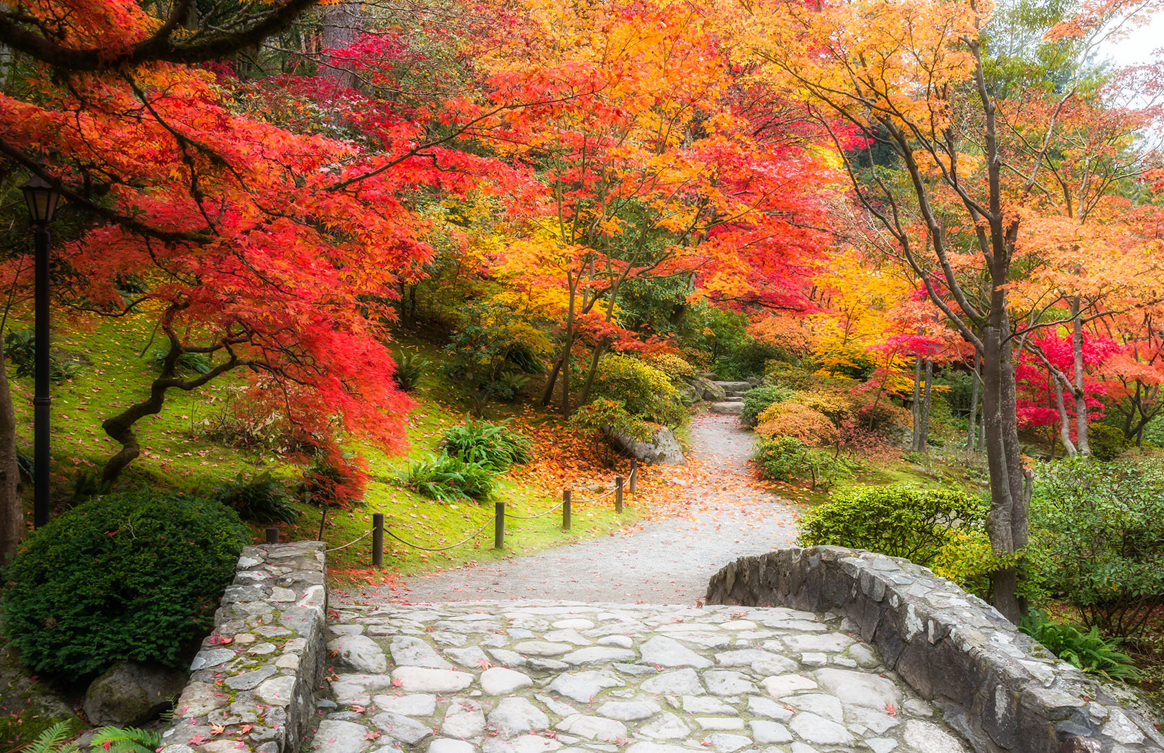 Seattle Garden Jigsaw Puzzle