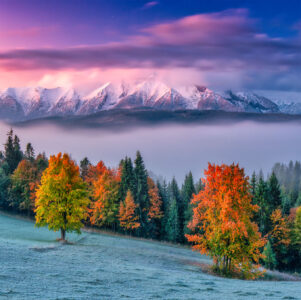 Slovakia Frosty Morning Jigsaw Puzzle