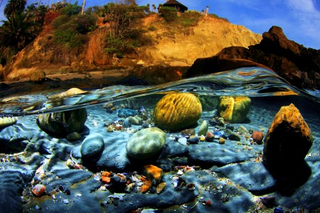 Under the Surf Jigsaw Puzzle