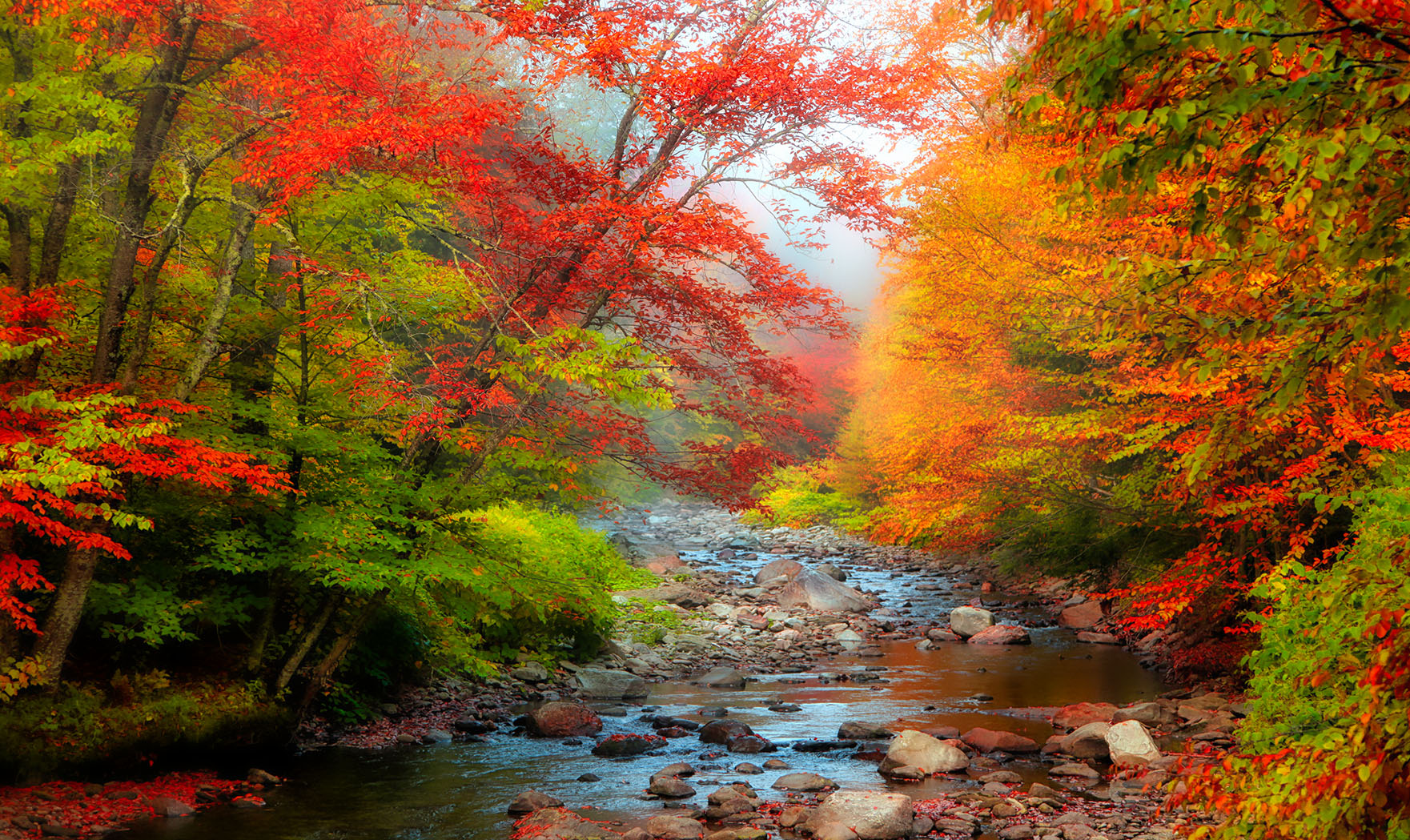 Vermont Stream Jigsaw Puzzle