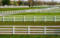 White Fences