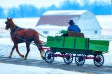 Winter Horse and Carriage