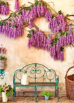 Wisteria Wall