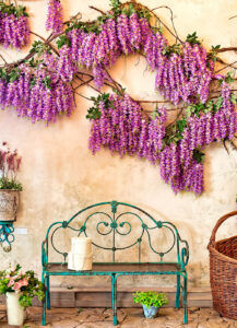 Wisteria Wall Jigsaw Puzzle