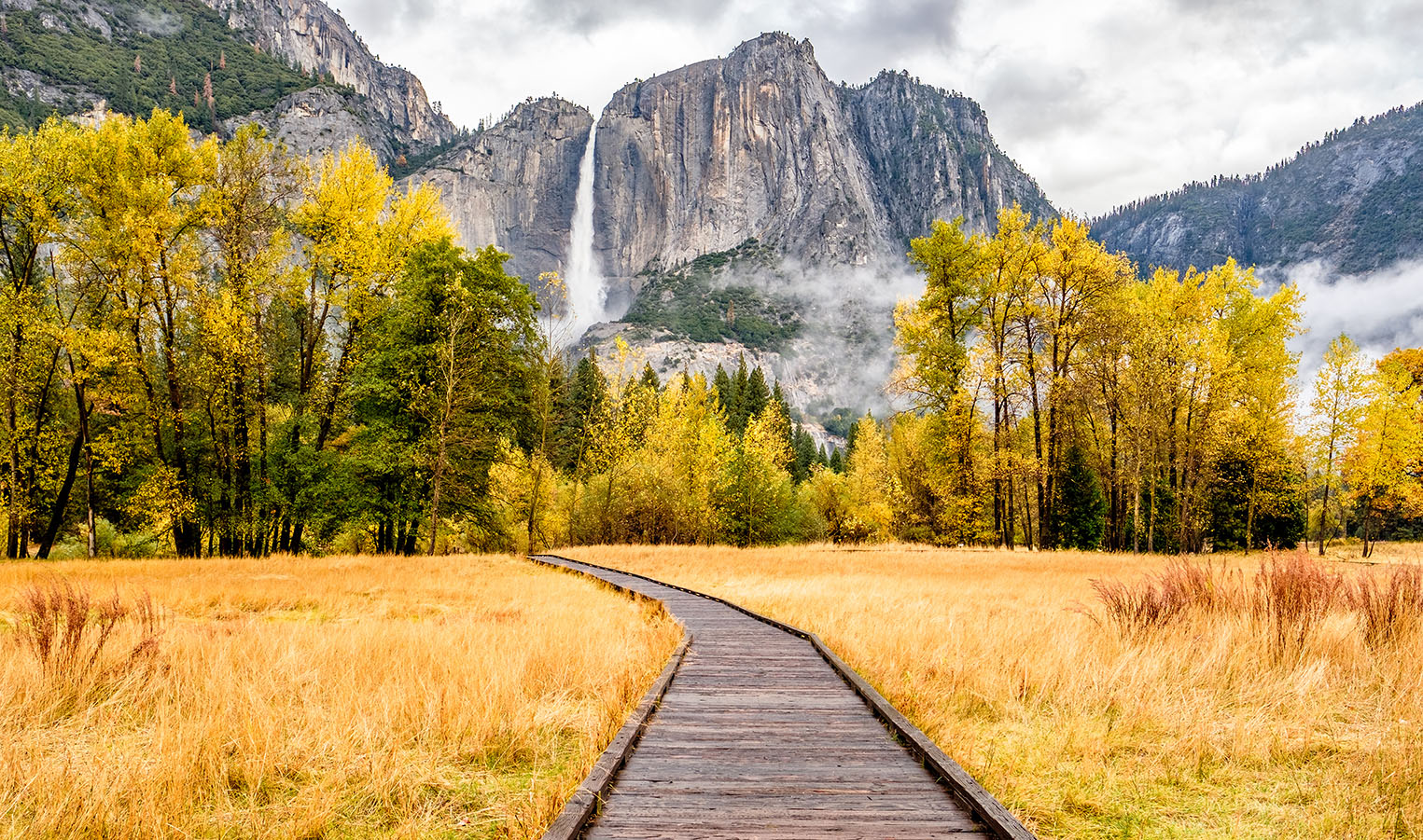 Yosemite Boardwalk Jigsaw Puzzle